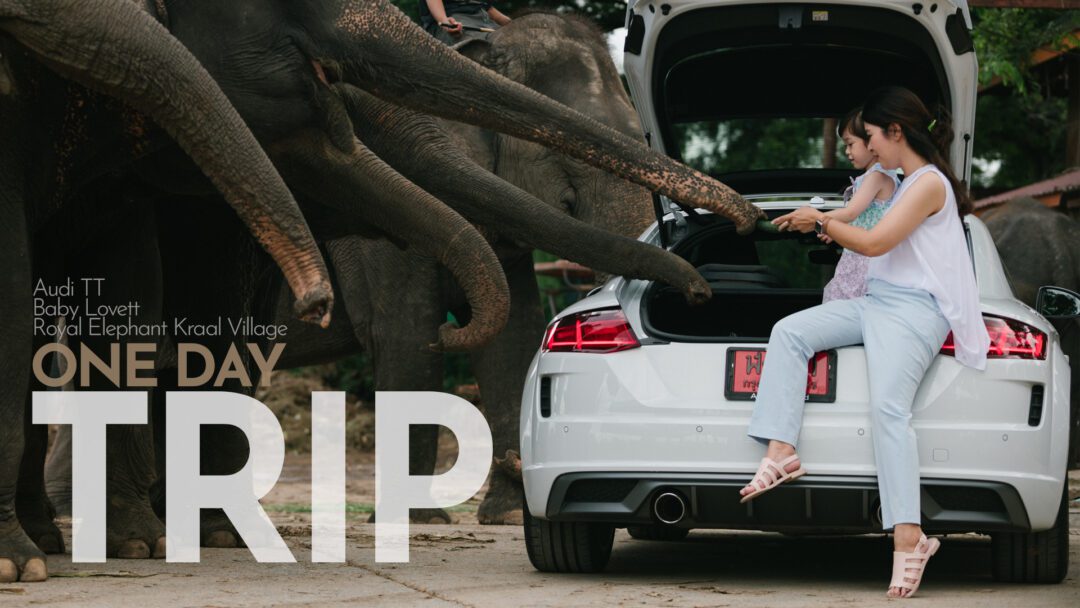 Audi TT : One Day Trip