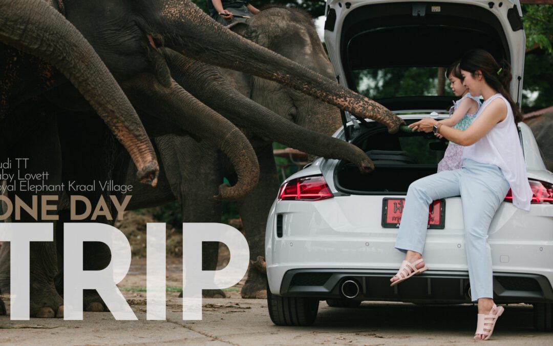 Audi TT : One Day Trip